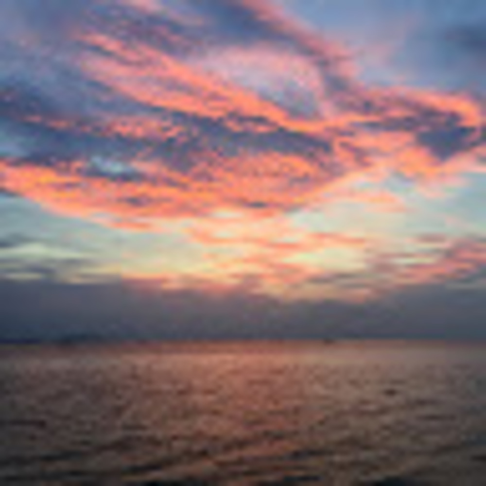 Meet your Posher, Wn